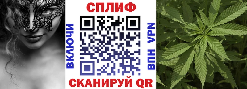 Где купить наркоту Вичуга ГАШИШ  Бошки Шишки  Alpha-PVP  Меф 