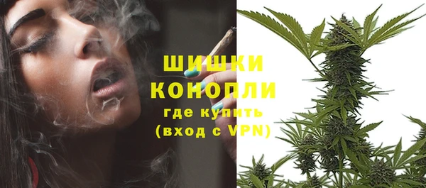 ГАЛЛЮЦИНОГЕННЫЕ ГРИБЫ Абдулино