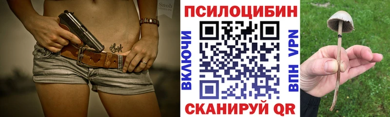 купить наркотик  Вичуга  Галлюциногенные грибы мицелий 